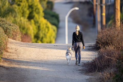 Woman Walking Dog on Scenic Nature Trail