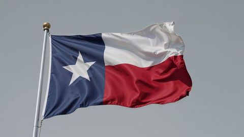 Texas State Flag Waving Against Clear Sky