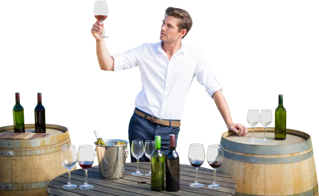 Young Man Holding Red Wine Glass Surrounded By Barrels And Wine Bottles, Transparent Background - Download Free Stock Videos Pikwizard.com