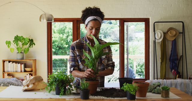 Woman focused on transplanting a plant in a well-lit room filled with greenery, creating a calming atmosphere, with soil and pots on table. Suitable for content related to home gardening, sustainable living, indoor activities, relaxation hobbies, and environmental awareness.