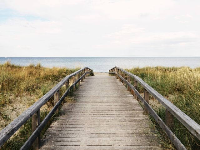 Tranquil Wooden Pathway to Beach with Calm Ocean View - Download Free Stock Photos Pikwizard.com