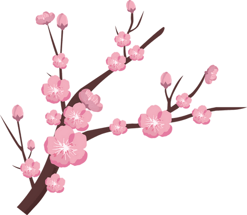 Botanical design of flowering branch with transparent background