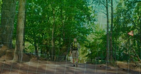 Hiker Exploring Forest Trail in Sunlit Wilderness