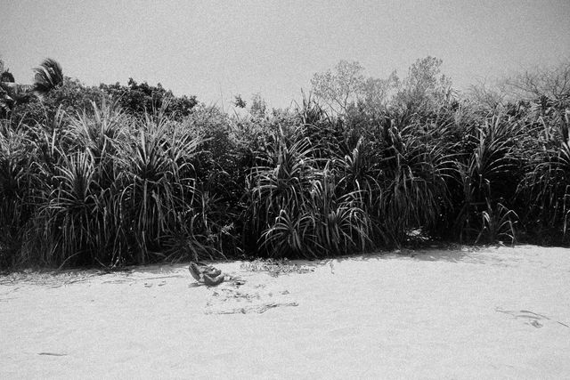 Snow Winter Cold - Download Free Stock Photos Pikwizard.com