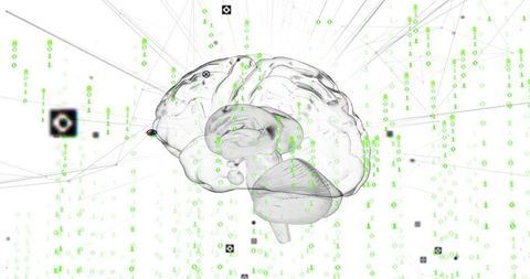transparent human brain with binary code in digital network space - Download Free Stock Images Pikwizard.com