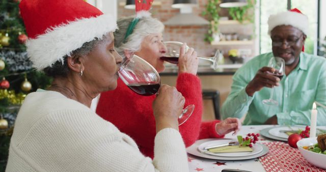 Happy group of diverse senior friends celebrating meal and drinking vine at christmas time - Download Free Stock Photos Pikwizard.com