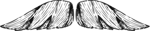 Vector art with spreading grey layered feathered wings, transparent backdrop
