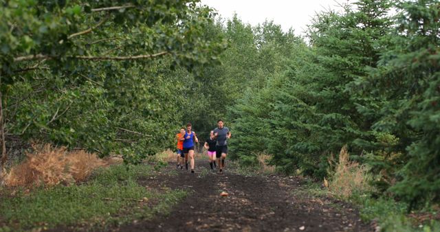 Three people running together on dirt path surrounded by green trees. They wear sporty clothes and focus on their trail run in nature