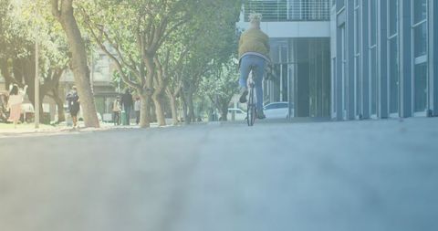 Sunlit Street Bicycle Ride in Urban Setting - Download Free Stock Images Pikwizard.com