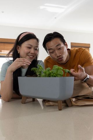 Asian couple tending basil in modern rectangular planter on kitchen countertop