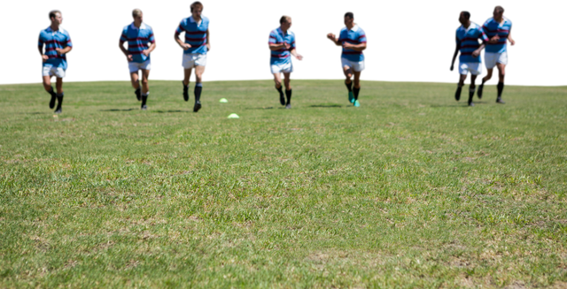 Transparent Diverse Male Rugby Team Running on Field - Download Free Stock Videos Pikwizard.com