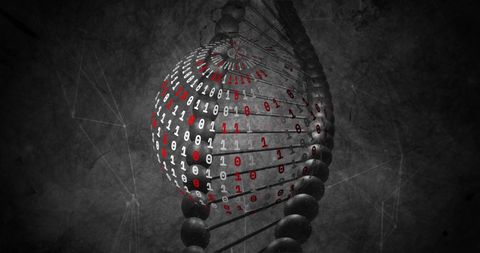 Digital DNA Strand Fusion With Binary Code Overlay - Download Free Stock Images Pikwizard.com