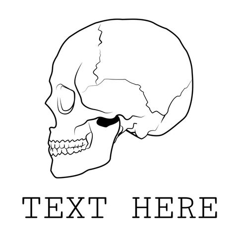 Skull Contour Art Invokes Mystery and Mortality - Download Free Stock Templates Pikwizard.com