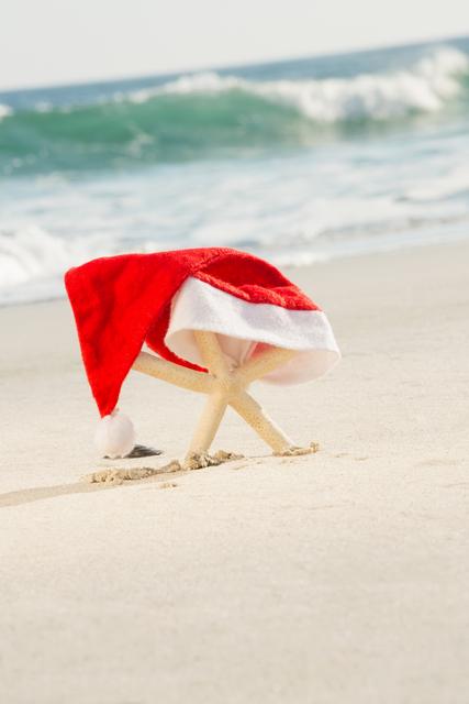 Starfish covered with santa hat kept on sand - Download Free Stock Photos Pikwizard.com