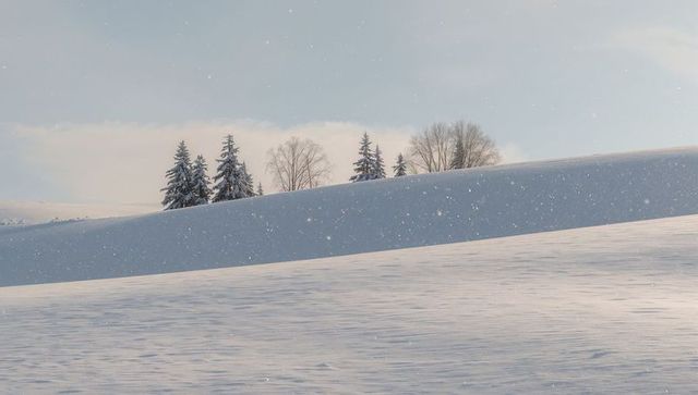 Snowy ridge with evergreen and bare trees, gentle snowfall over winter field