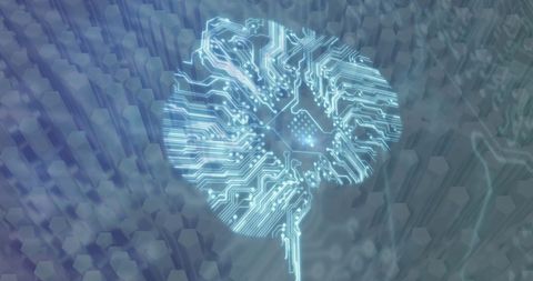 Digital brain interface with circuit pathways in virtual environment