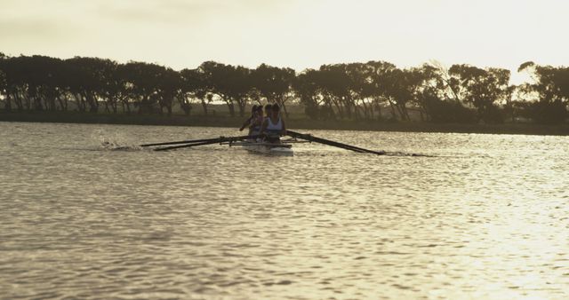 Team Rowing On Lake During Sunset - Download Free Stock Images Pikwizard.com