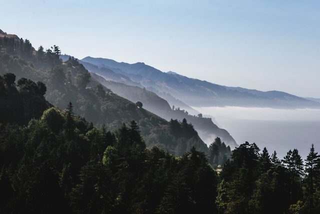 This stock photo captures a serene foggy coastal mountain landscape covered in lush greenery and mature trees. Ideal for promoting nature, travel, relaxation, and mindfulness content. Perfect for use in websites, blogs, marketing materials, and printed promotional materials highlighting natural beauty and outdoor adventures.