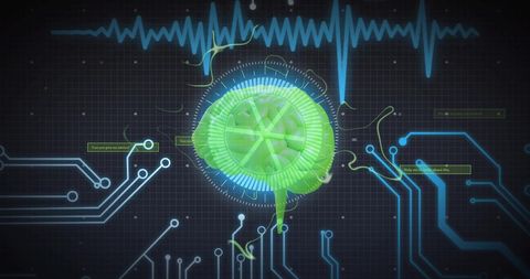 Futuristic Brain Data Processing with Digital Circuits - Download Free Stock Images Pikwizard.com