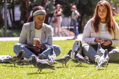 Diverse women feeding pigeons in sunny park, holding coffee, casual outdoor lifestyle