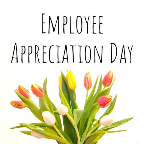 employee appreciation day with vibrant tulip bouquet - Download Free Stock Templates Pikwizard.com