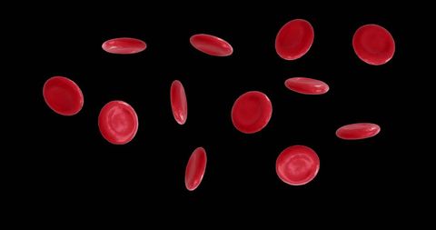 Red blood cells floating on black background for scientific study