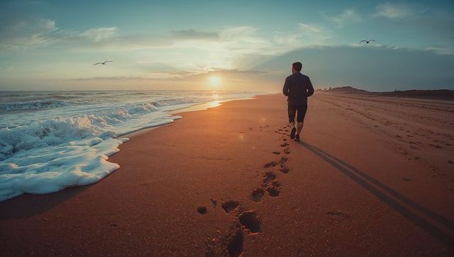 Man walking on sandy beach at sunset with seagulls