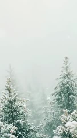 Evergreen Forest Falling Light Snow in Misty Fog — Vertical Calm Winter Nature Video