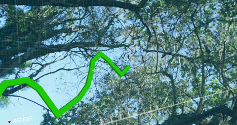 Futuristic Display of Data Overlaying Nature