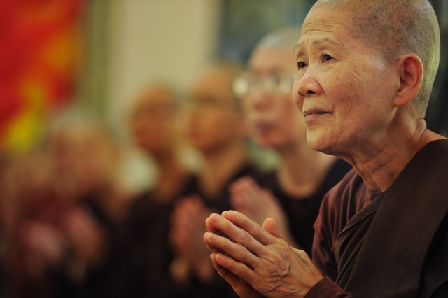 Buddhist nuns engaged in deep meditation and prayer at a temple, emanating a sense of peace and spirituality. Ideal for content focused on Buddhism, spirituality, cultural practices, or senior life. Can be used in blog posts, articles, educational material about Buddhist traditions, or websites promoting mindfulness and meditation.