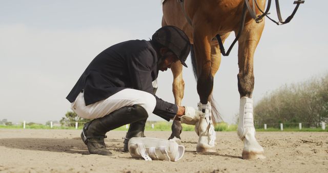 Rider Preparing Horse for Equestrian Event with Leg Protection - Download Free Stock Images Pikwizard.com