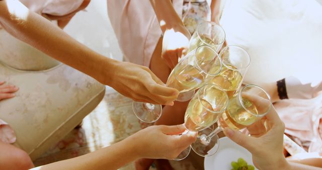 Friends are raising champagne glasses in a toast, likely celebrating a special occasion or milestone. Perfect for use in marketing materials for events, parties, weddings, and other social gatherings to convey joy and camaraderie.