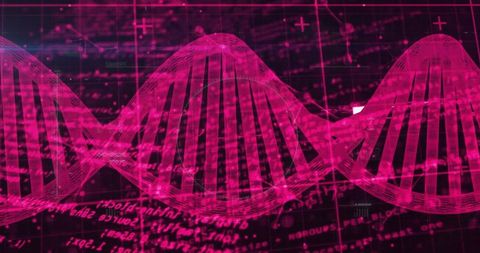 Futuristic DNA Helix on Digital Interface in Pink Tones