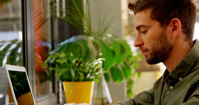 Young Man Working on Laptop in Bright, Green Office - Download Free Stock Images Pikwizard.com