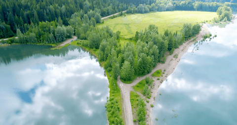 high angle transparent view trees surrounded by calm lake - Download Free Stock Videos Pikwizard.com