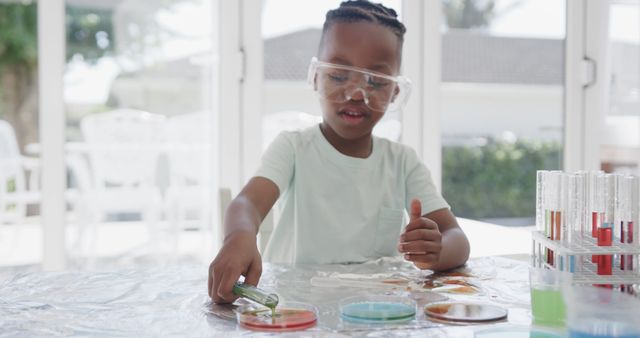 Young child wearing protective goggles conducting a science experiment with petri dishes on a bright table. This setting is perfect for depicting early education, curiosity, and learning through hands-on activities. Ideal for use in educational content, school promotions, and science-themed materials.