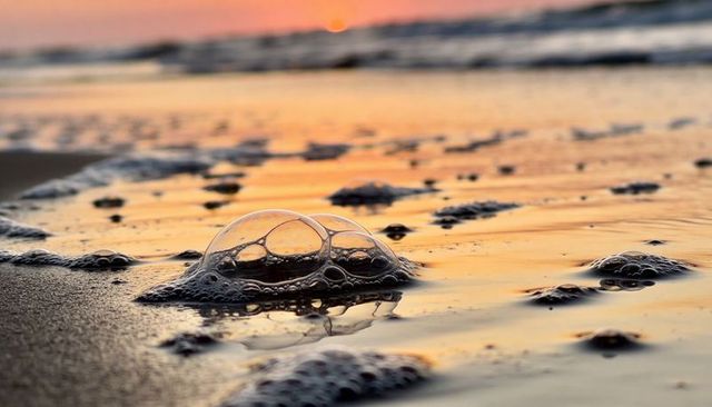 Sunset reflections on sea foam bubbles close-up on shoreline wet sand at dusk