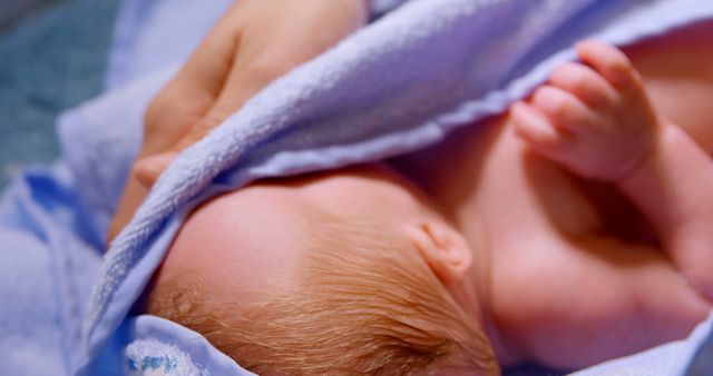 Newborn Baby Wrapped in Soft Blanket - Download Free Stock Images Pikwizard.com