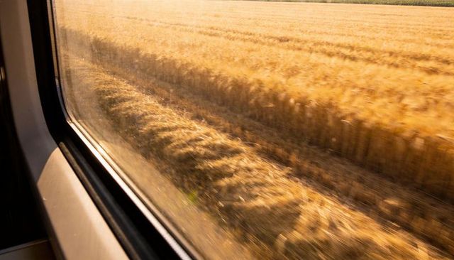 Golden wheat field blurring past train window during countryside journey