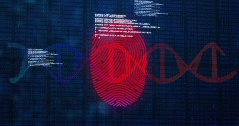 Displaying red fingerprint and dna helix overlay on digital matrix for biometric cybersecurity