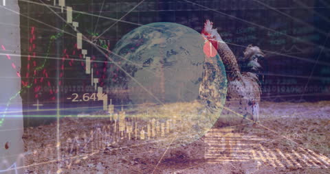 Global Economy Analysis with Digital Data Overlay Concept