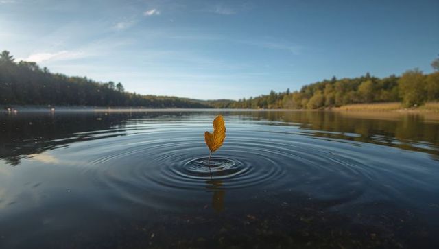 Single golden leaf floating on calm lake creating circular ripples reflecting sky and forest