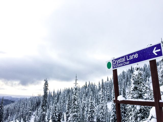Snow-covered ski resort featuring Crystal Lane sign and dense pine trees in the background. Ideal for promoting winter travel destinations, outdoor sports activities, and nature-focused leisure or tourism. Might also be used for seasonal greetings or illustrating winter landscapes in various publications.