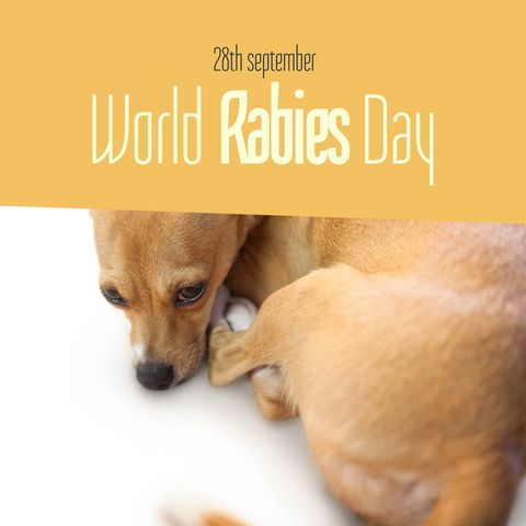 world rabies day awareness with relaxing dog - Download Free Stock Templates Pikwizard.com