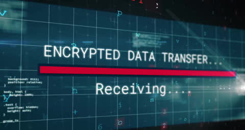 Encrypted Data Transfer Process with Binary Code Overlay