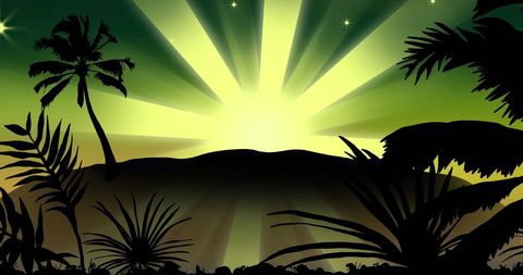 Tropical Sunset Silhouette with Radiant Sunburst - Download Free Stock Images Pikwizard.com