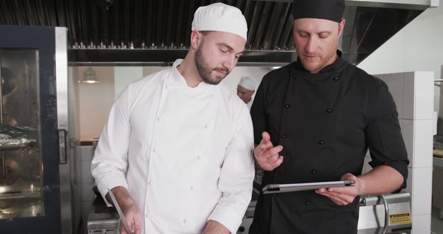 Chefs in professional kitchen discussing recipe results on tablet - Download Free Stock Images Pikwizard.com