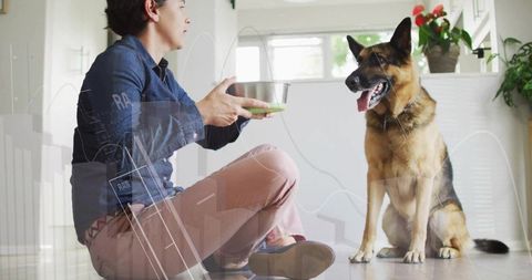 Woman Giving Dog Bowl of Food to German Shepherd in Bright Kitchen