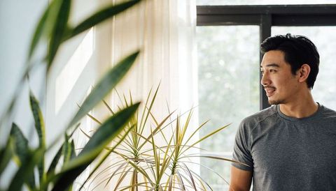 Man looking out window among houseplants in minimalist sunlit interior for wellness living
