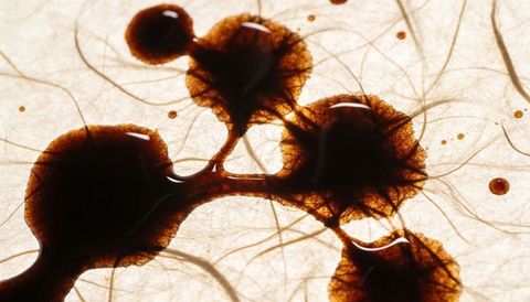 Brown liquid droplets forming web network on translucent fibrous paper backlit macro